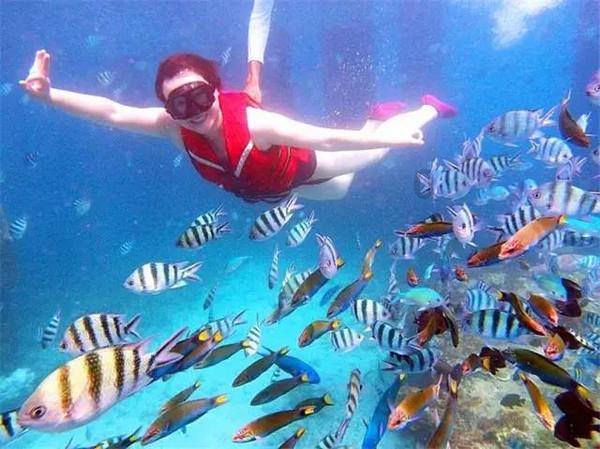 苹果手机会在中国禁售吗?—知识星球平台首选