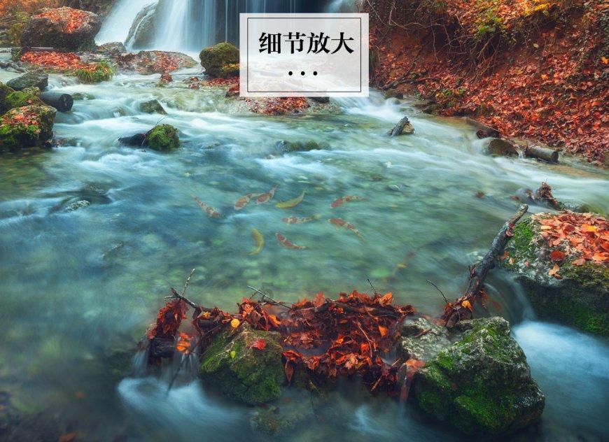 燃烧吧大脑装瓶子游戏